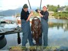 Sportangeln fr Touristen in Norwegen - Fiskeridirektoratet  das norwegische Fischereiamt 