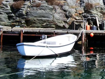 Dieselsnekke: 5,6m (18'), plastsnekke, with 10 hp Sabb diesel, steering console