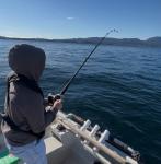 Klikk p bildet for full strrelse